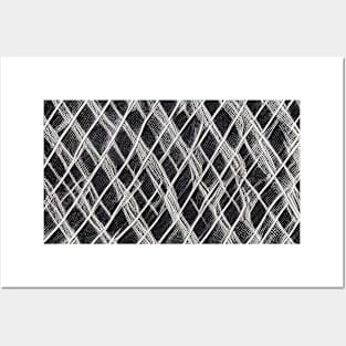 Black and White Mesh Posters and Art